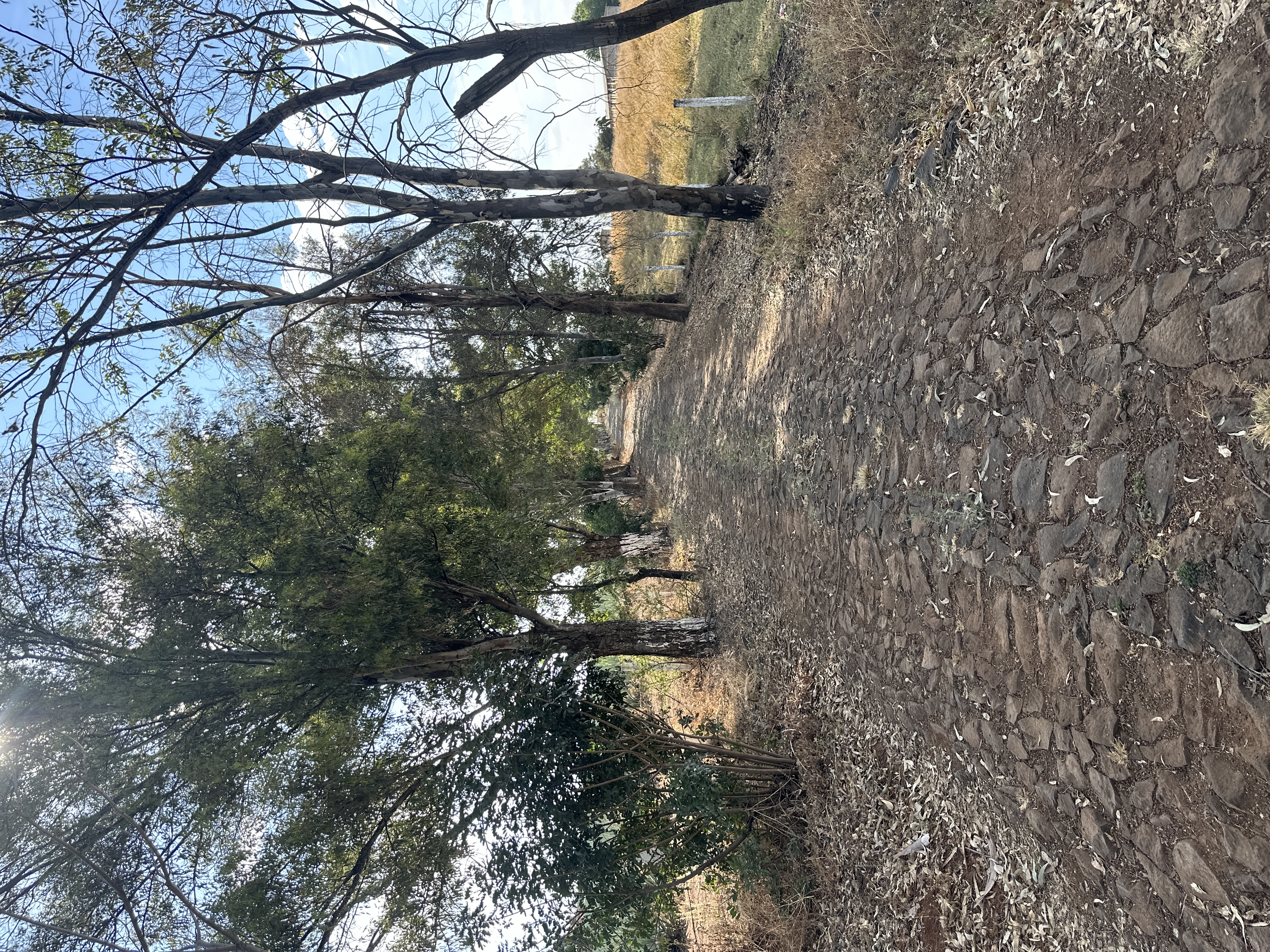 Rancho Presa de Nieves - imagen 13