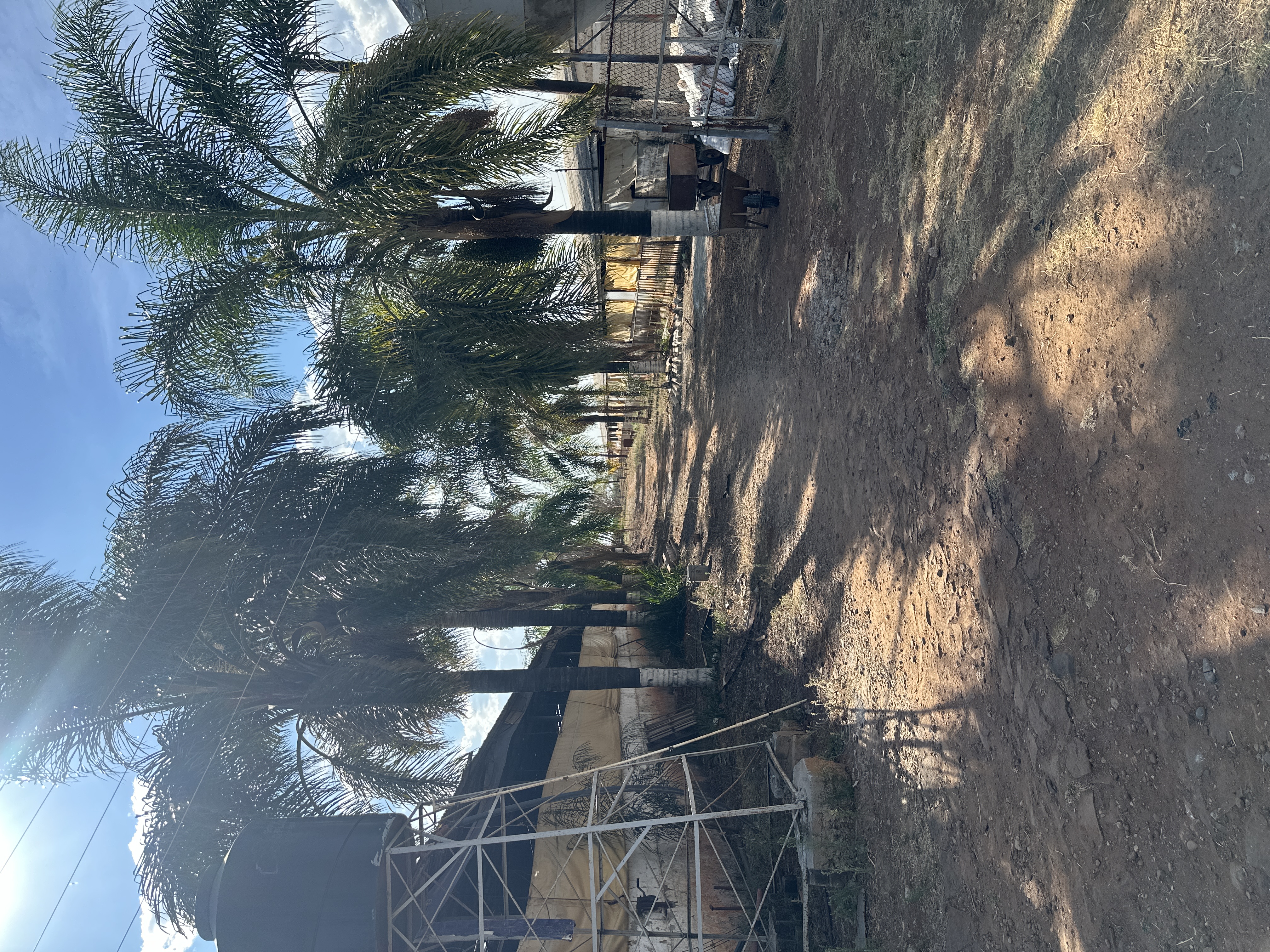 Rancho Presa de Nieves - imagen 14
