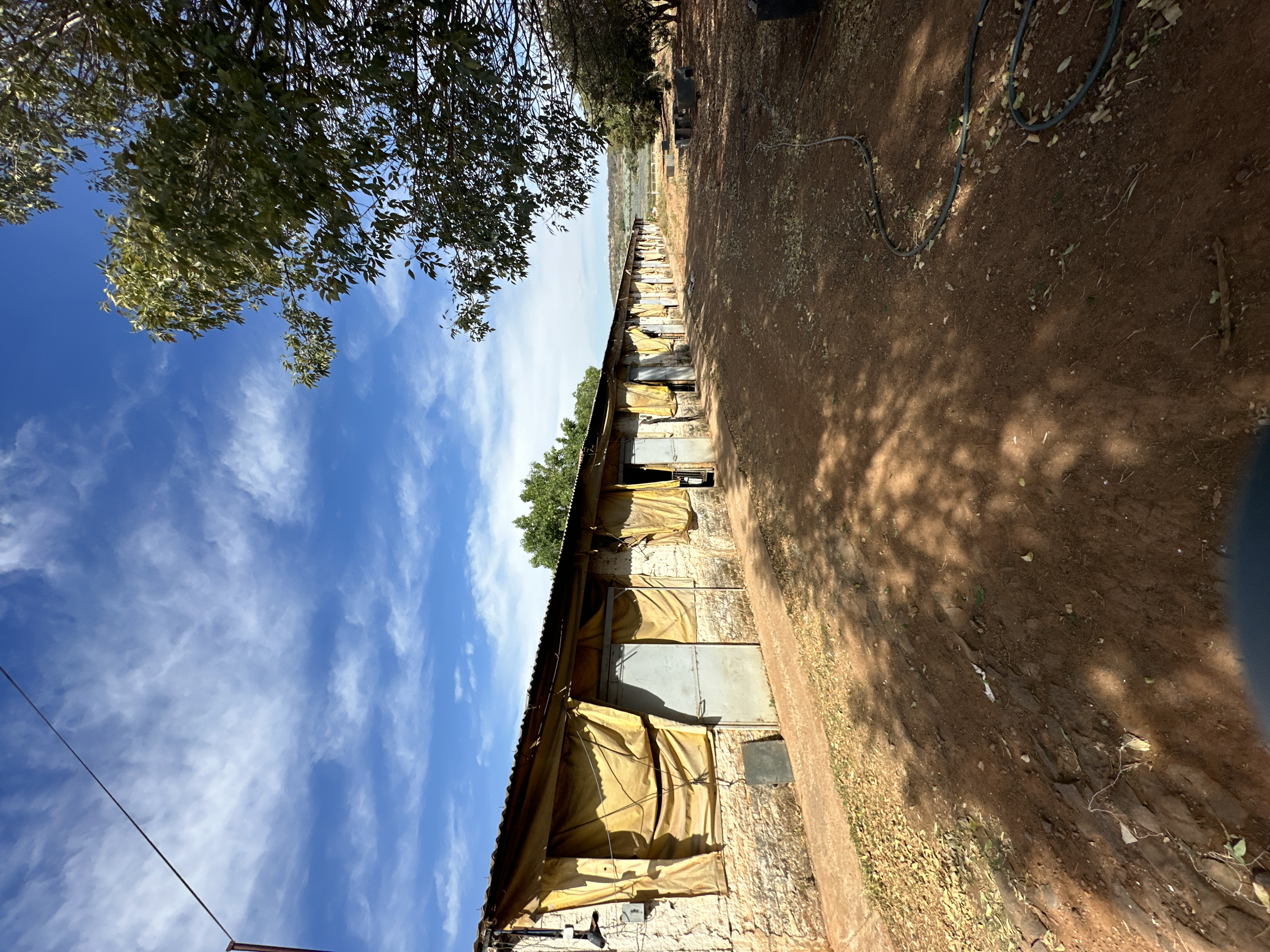 Rancho Presa de Nieves - imagen 11