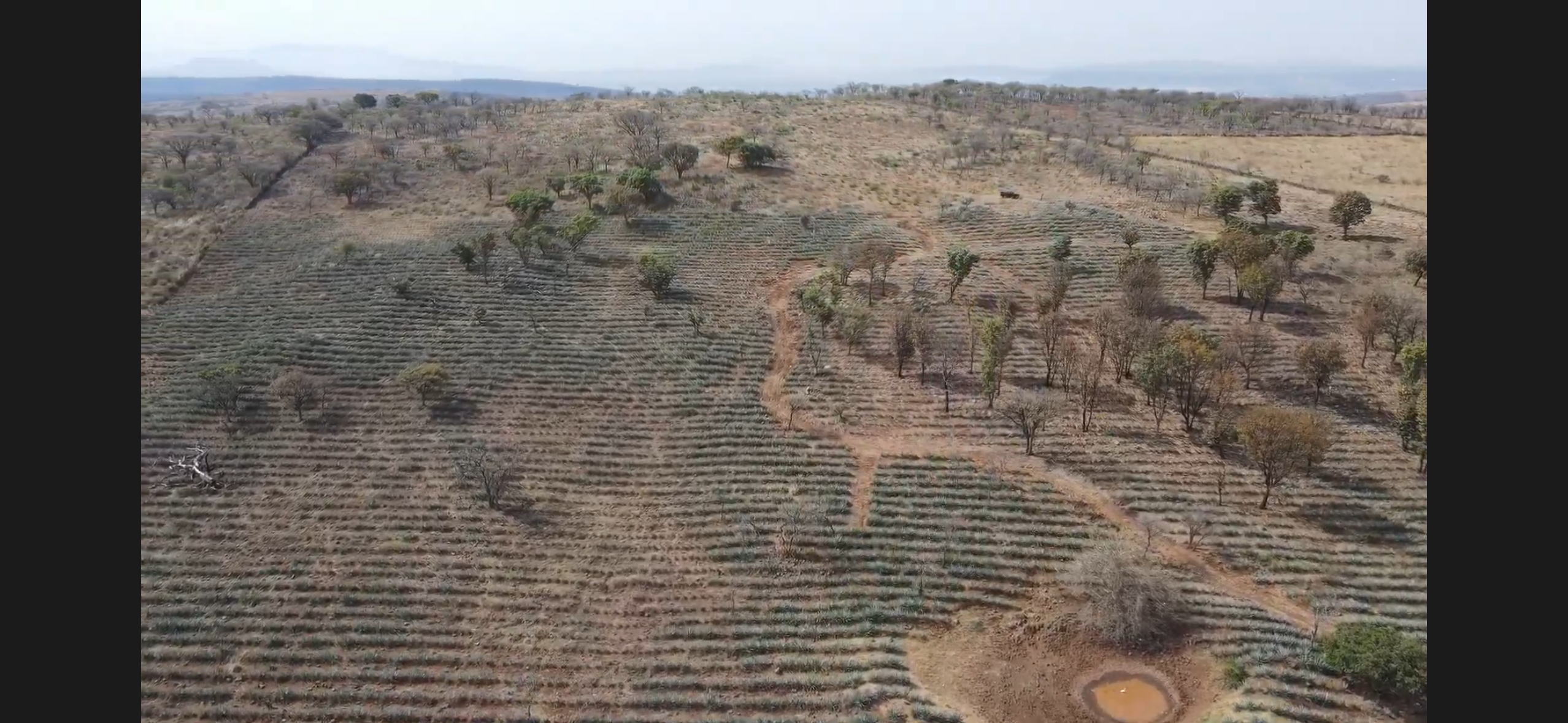 Rancho en Ramblas Grande - imagen 2