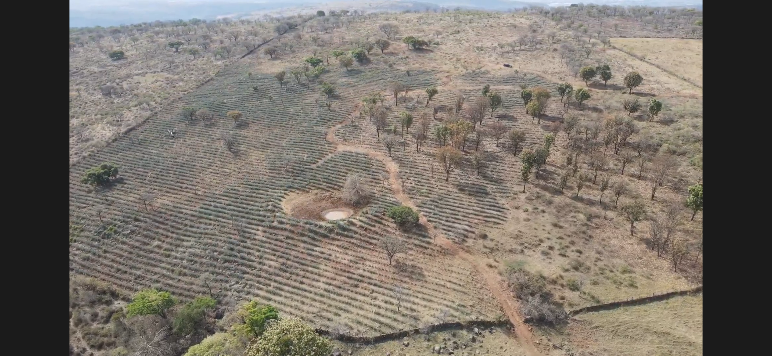 Rancho en Ramblas Grande - imagen 1