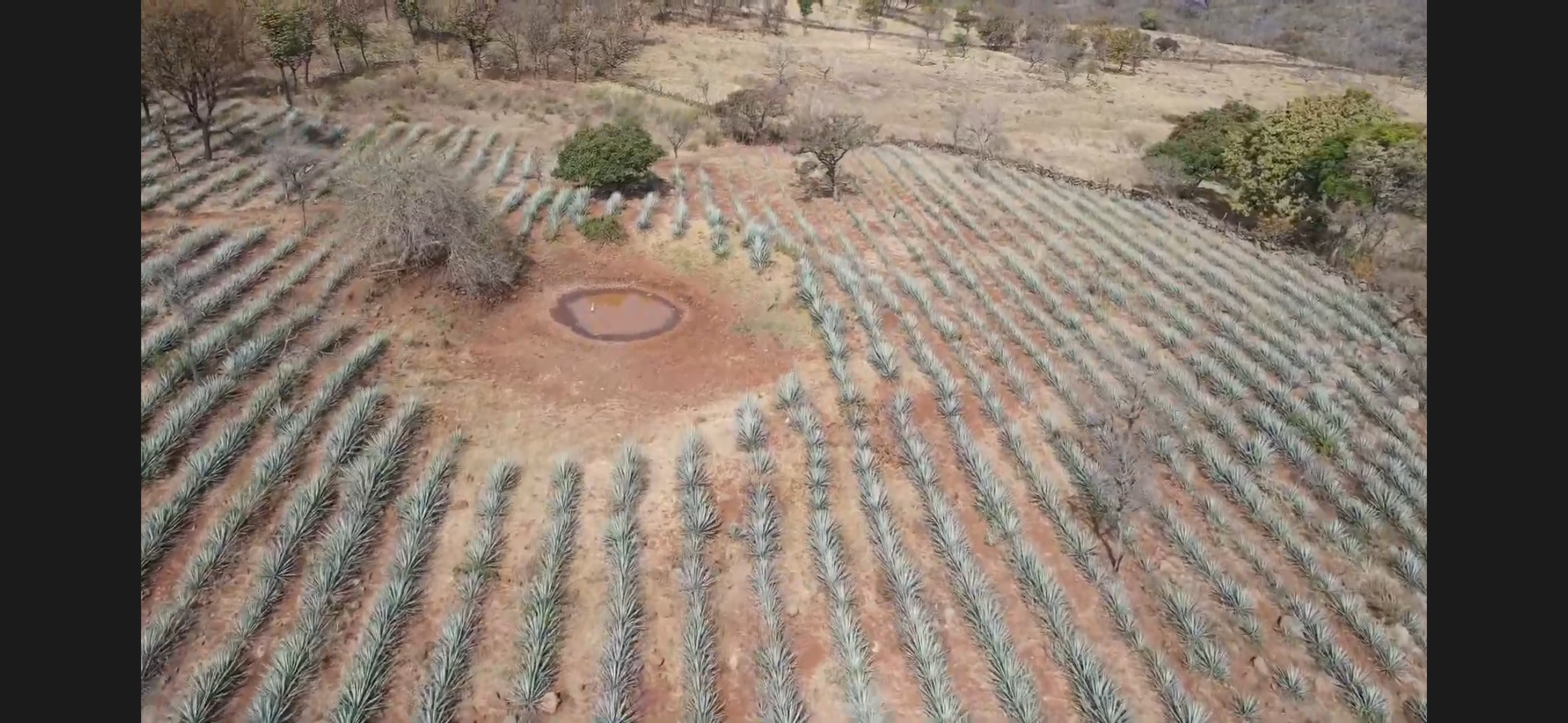 Rancho en Ramblas Grande - imagen 4