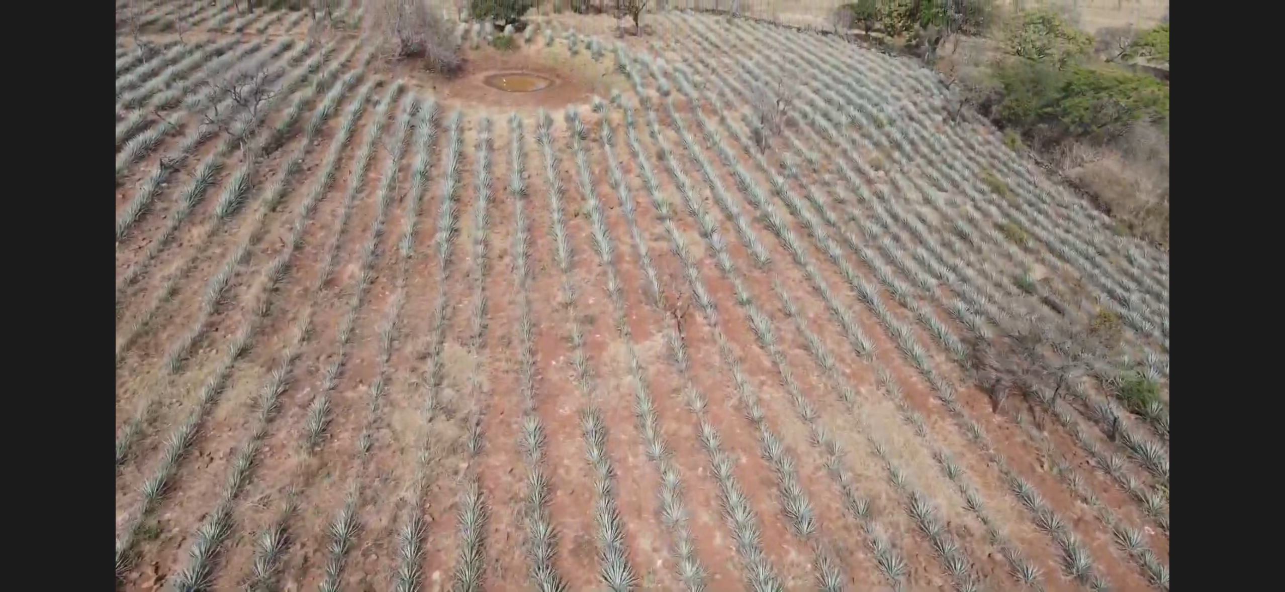 Rancho en Ramblas Grande - imagen 3