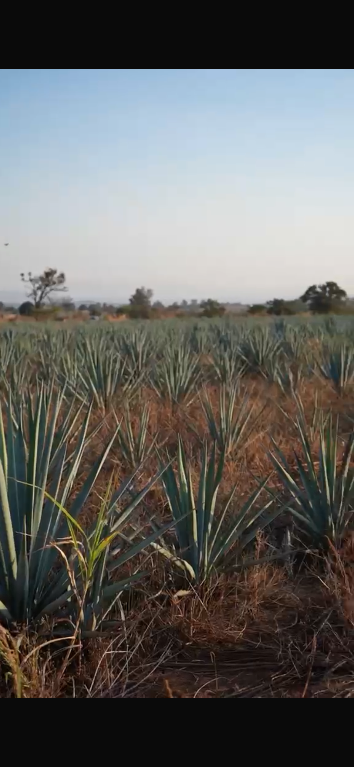 Rancho En la Purisima - imagen 5