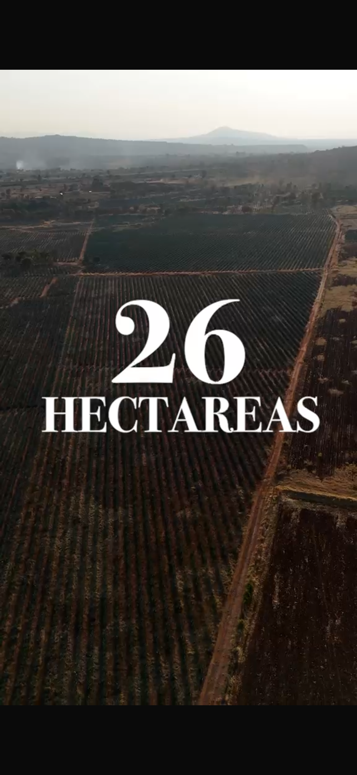 Rancho En la Purisima - imagen 4
