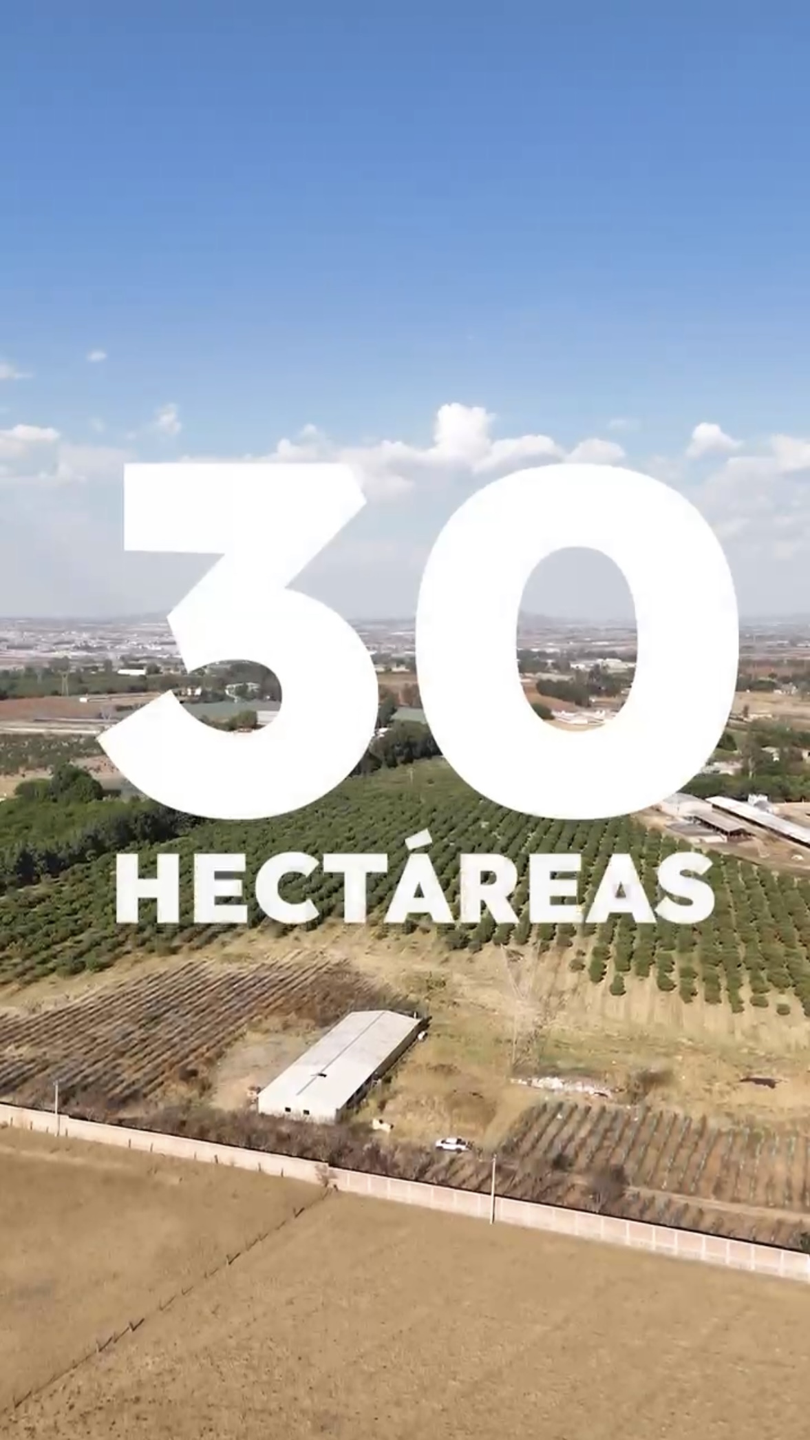 Rancho Casillas: Macrolote con Alto Potencial Industrial, Logístico y Agrícola - imagen 1