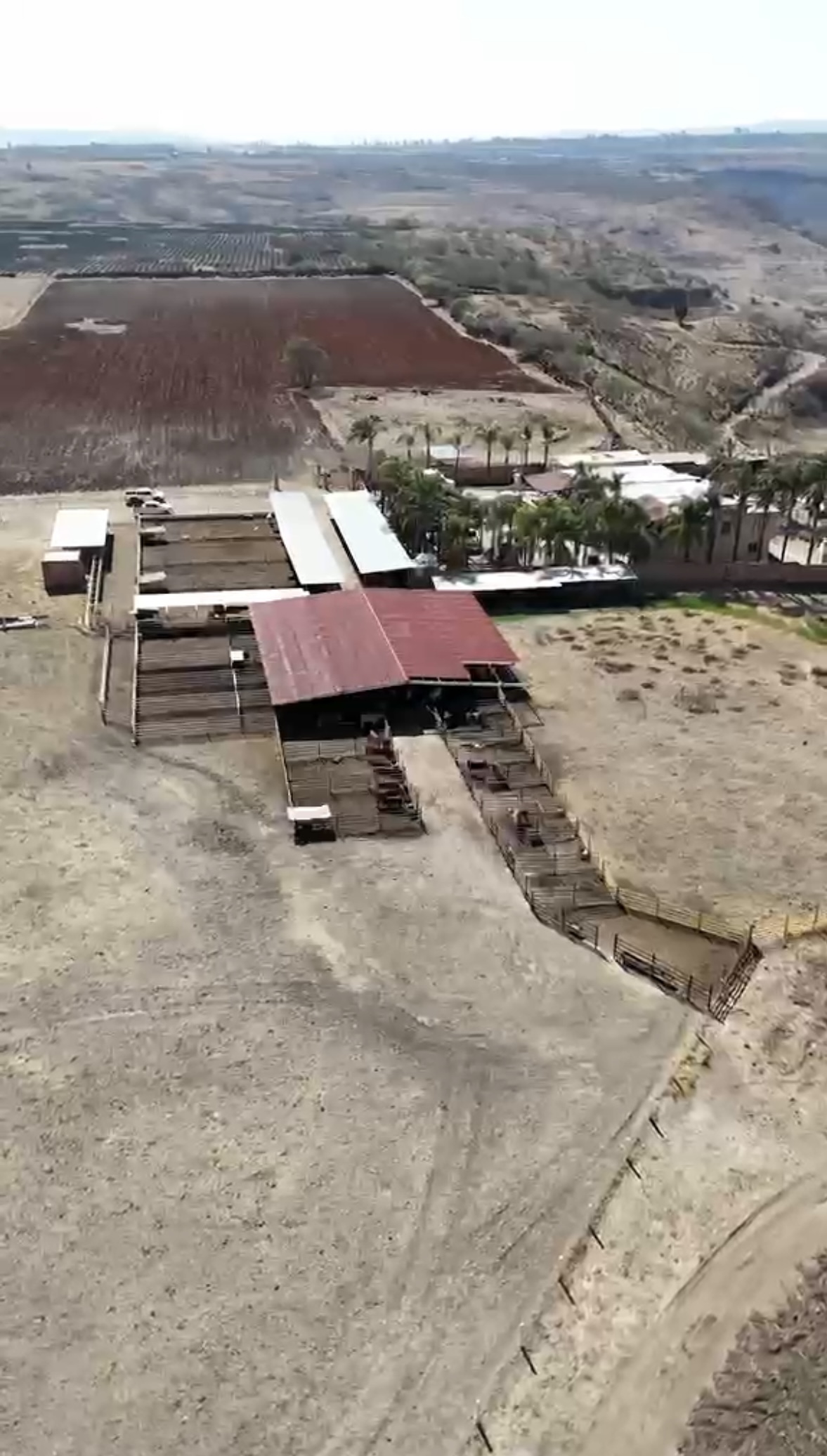 Rancho Ganadero - imagen 1