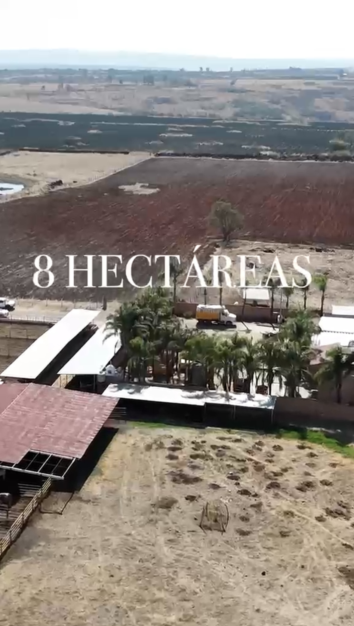 Rancho Ganadero - imagen 6